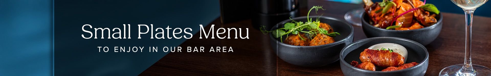 pcp-dn25-18-dynamicmenu-banner-smallplates.jpg